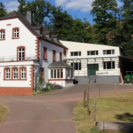 Gästehaus Herrenmühle Freudenburg  Exterior foto