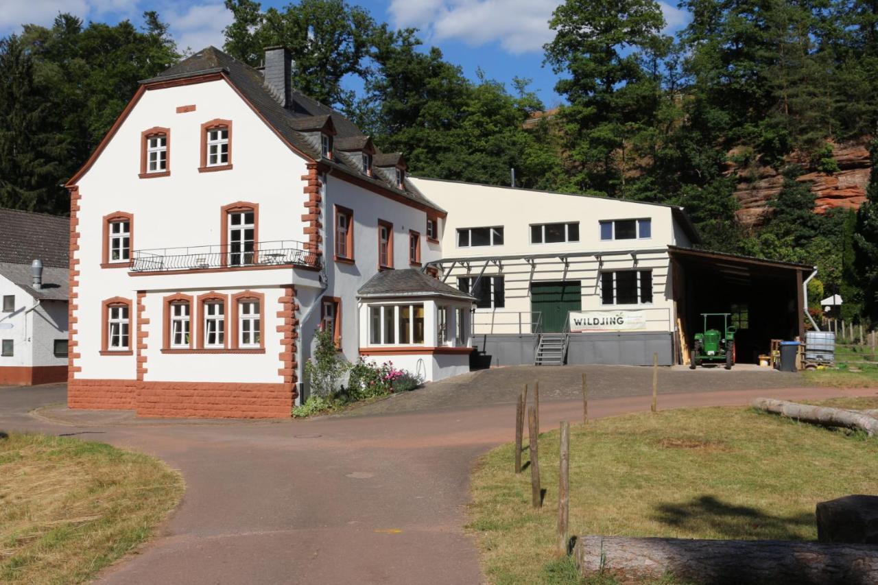Gästehaus Herrenmühle Freudenburg  Exterior foto